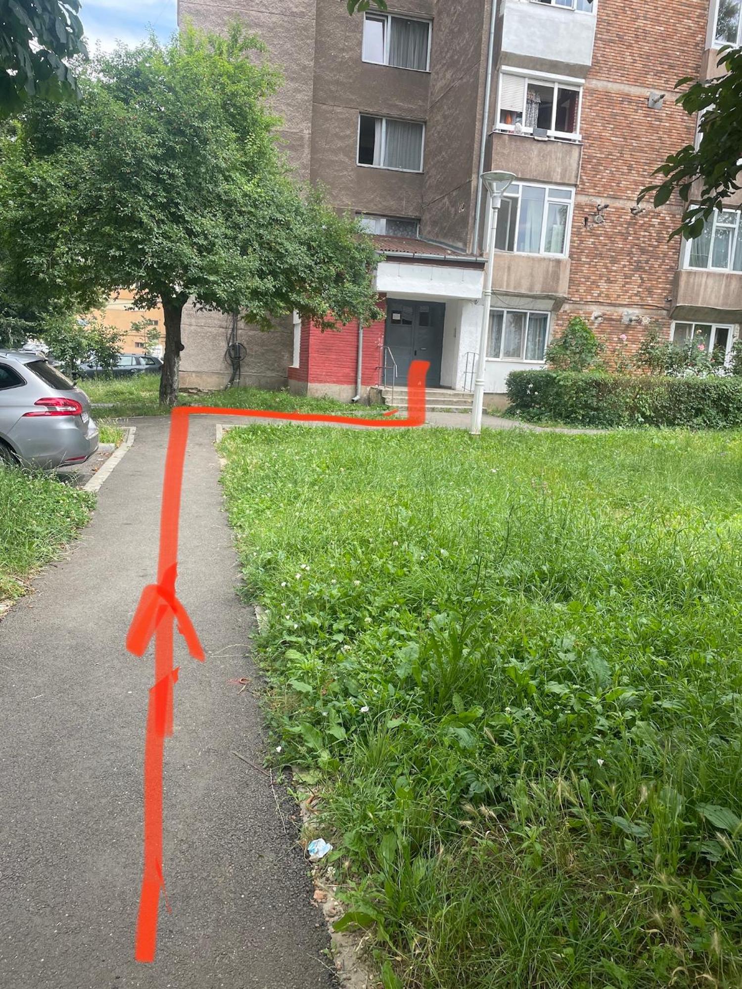 Central Studio Lcs Hunedoara Exterior photo